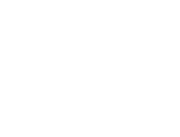 Alimentation Dynamic inc.
